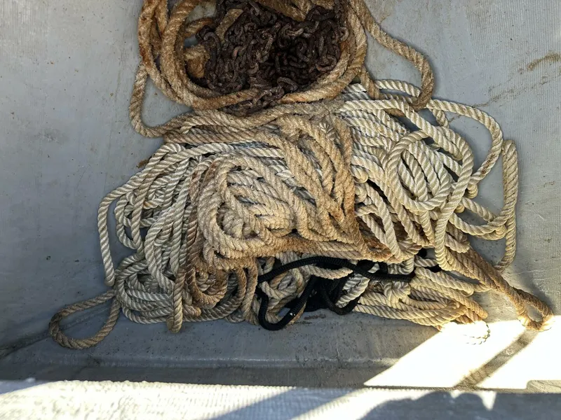 Slide: The Image of Intrepid 376 Walkaround 1994 - 5873769