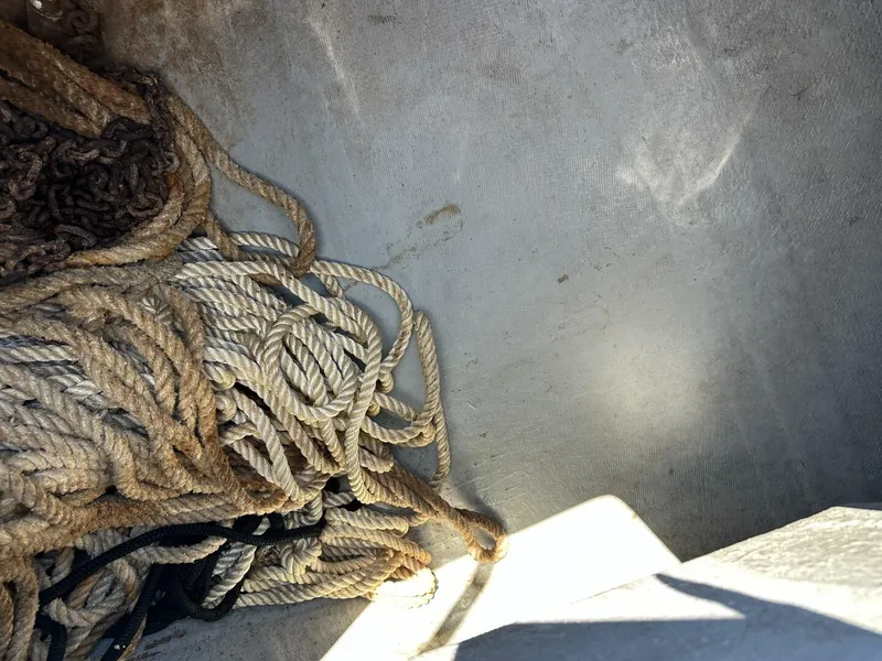 Slide: The Image of Intrepid 376 Walkaround 1994 - 5873770