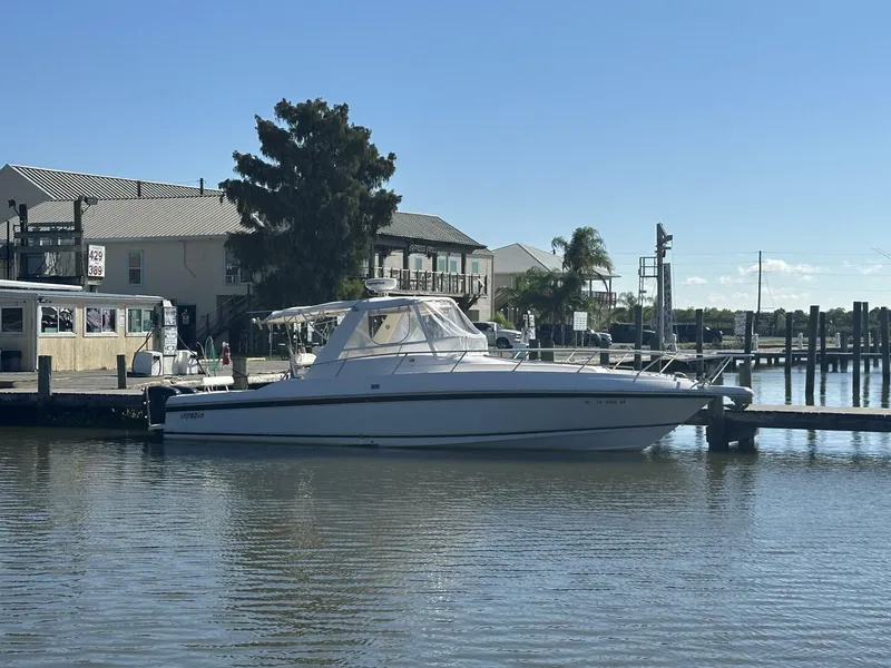 Slide: The Image of Intrepid 376 Walkaround 1994 - 5873660