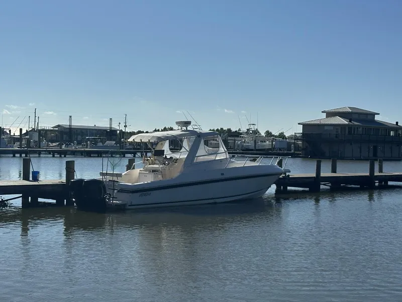 Slide: The Image of Intrepid 376 Walkaround 1994 - 5873664