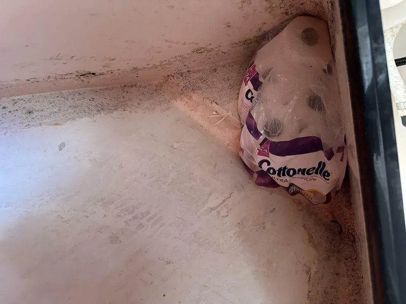 Slide: The Image of Intrepid 376 Walkaround 1994 - 5873726