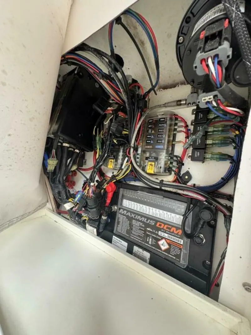 Slide: The Image of Sportsman 28 2020 - 5739017