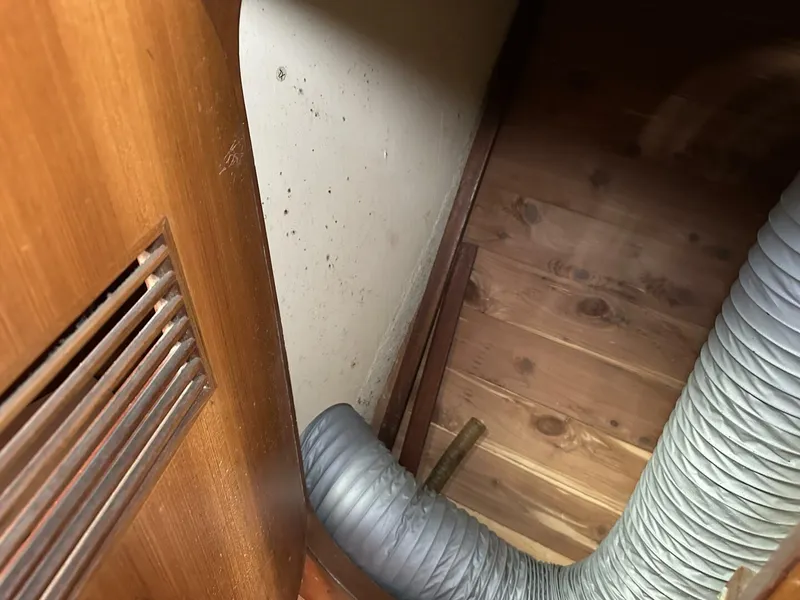 Slide: The Image of Oceanic 46 1986 - 5898559