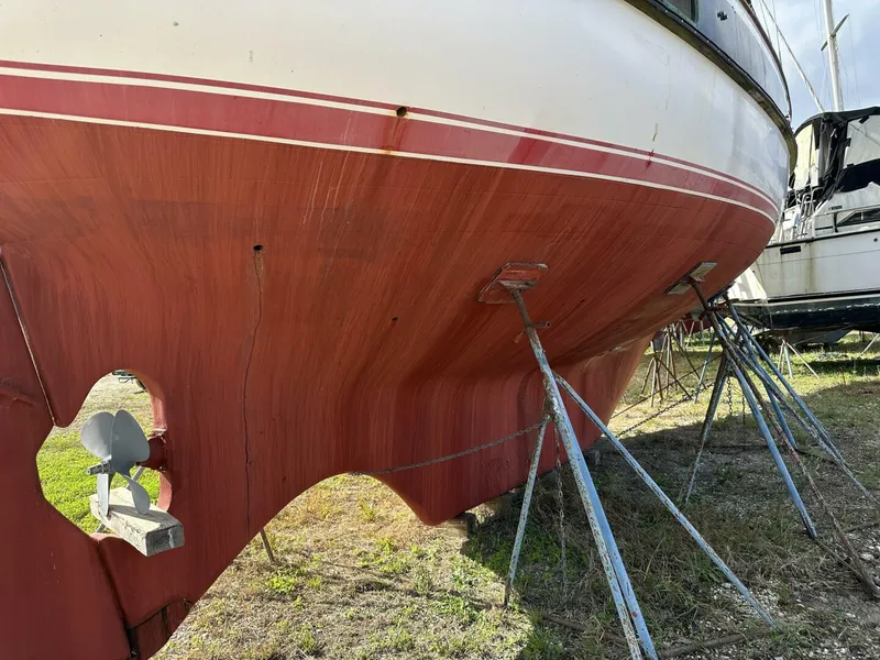 Slide: The Image of Oceanic 46 1986 - 5898416