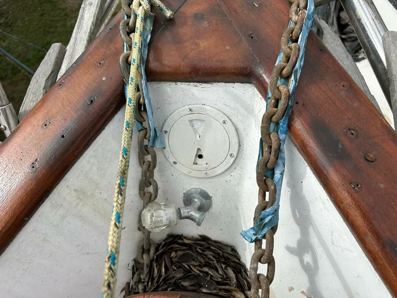 Slide: The Image of Oceanic 46 1986 - 5898463