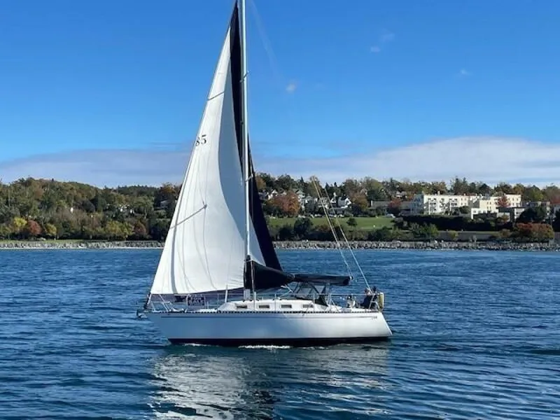 Slide: The Image of Tartan 28 1986 - 5740694