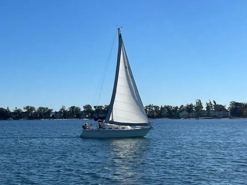 Slide: The Image of Tartan 28 1986 - 5740701