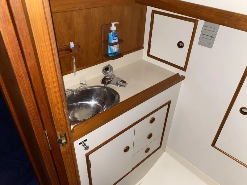 Slide: The Image of Hinterhoeller Nonsuch 26 1984 - 5742691