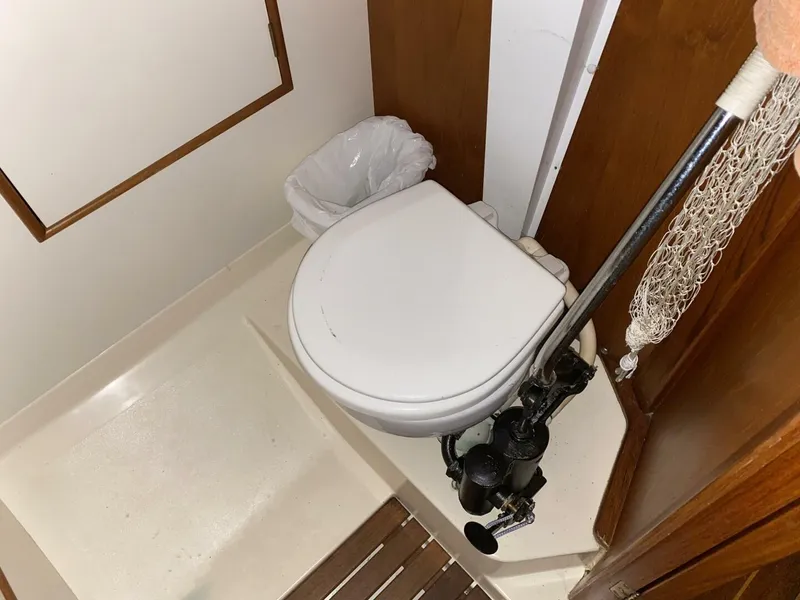 Slide: The Image of Hinterhoeller Nonsuch 26 1984 - 5742693