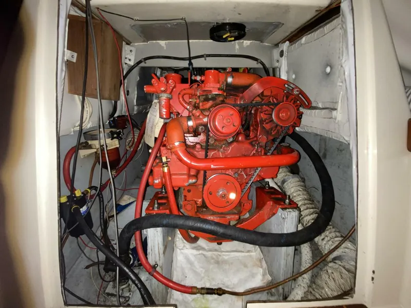 Slide: The Image of Hinterhoeller Nonsuch 26 1984 - 5742736