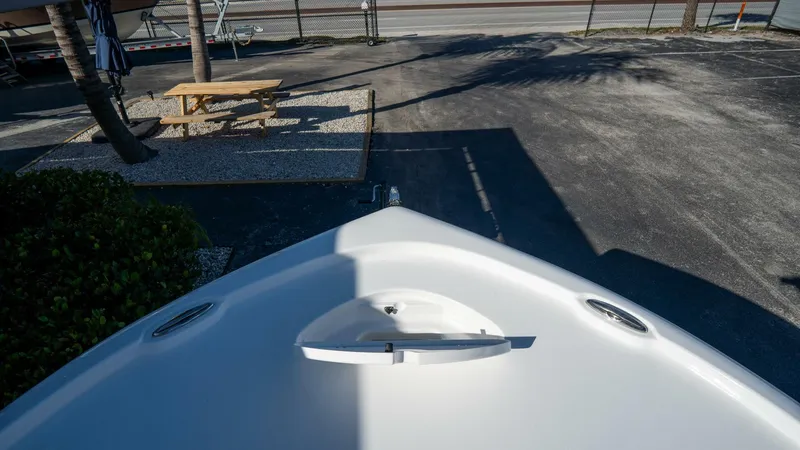 Slide: The Image of Tidewater Carolina Bay 2025 - 5799209