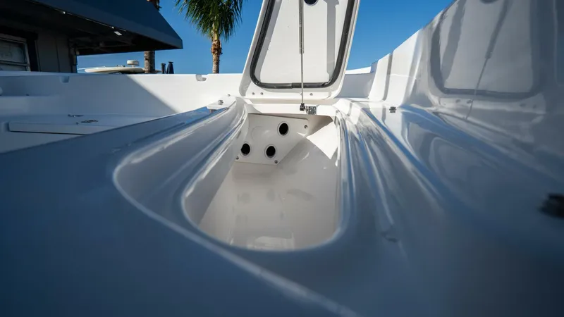 Slide: The Image of Tidewater Carolina Bay 2025 - 5799214