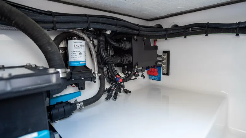 Slide: The Image of Front Runner 39 2026 - 5826816