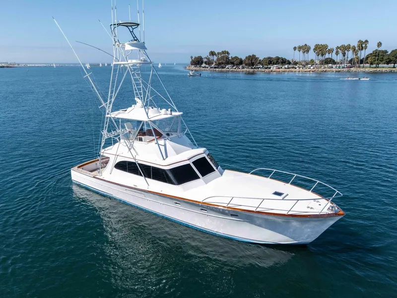 The Image of 1981 Merritt 55 Convertible - SHOTGUN - Profile - 5759583