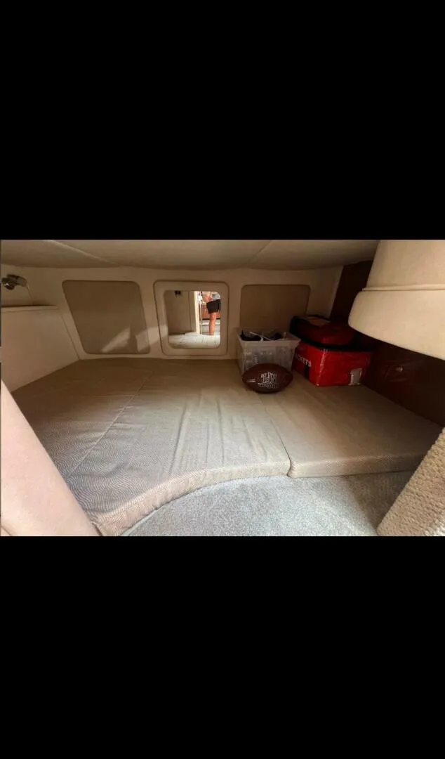 Slide: The Image of Sea Ray 290 Sundancer 2008 - 5744363