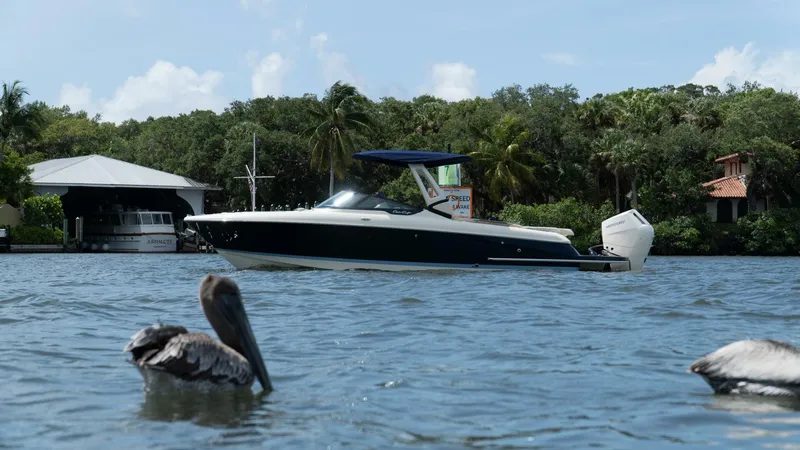 Slide: The Image of 28 08 - 5799970