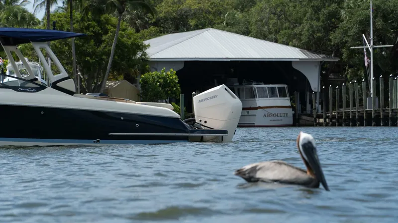 Slide: The Image of 28 09 - 5799971