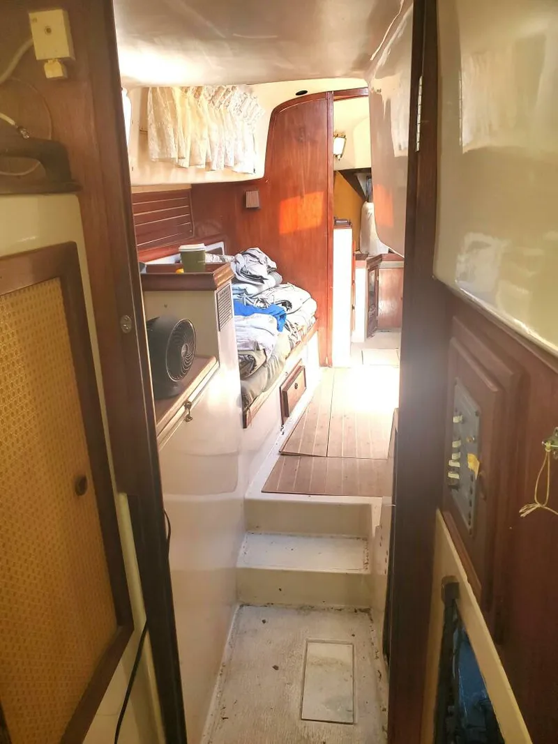 Slide: The Image of Irwin Cutter 1978 - 5750054