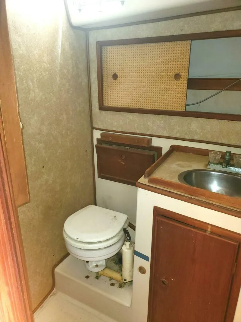 Slide: The Image of Irwin Cutter 1978 - 5750056