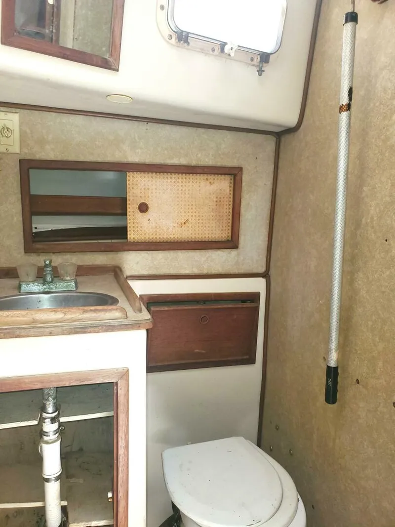 Slide: The Image of Irwin Cutter 1978 - 5750048