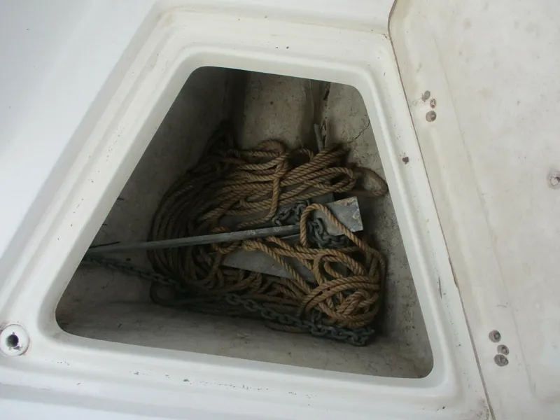 Slide: The Image of Sailfish 23 2005 - 5746960