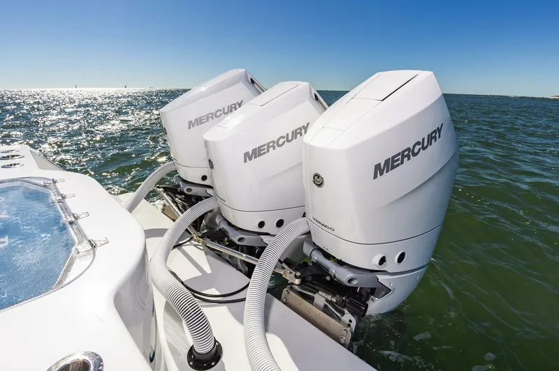 Slide: The Image of 37OnslowBay2025_017 - 5748215