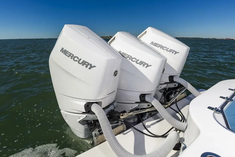 Slide: The Image of 37OnslowBay2025_018 - 5748216