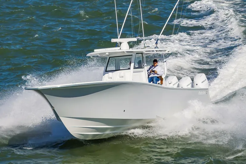 Slide: The Image of 37OnslowBay2025_003 - 5748201