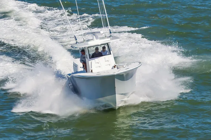 Slide: The Image of 37OnslowBay2025_004 - 5748202