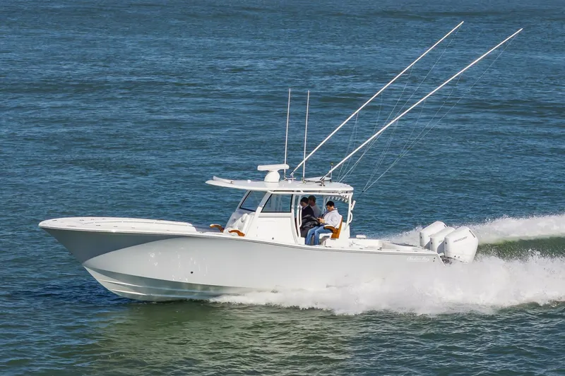 Slide: The Image of 37OnslowBay2025_043 - 5748241