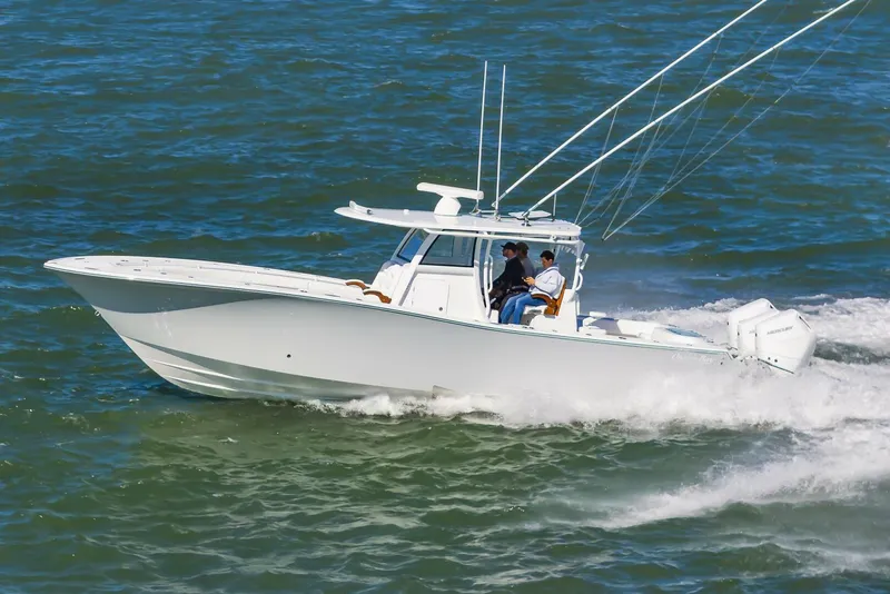 Slide: The Image of 37OnslowBay2025_045 - 5748243