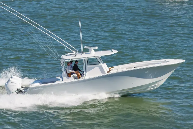 Slide: The Image of 37OnslowBay2025_046 - 5748244