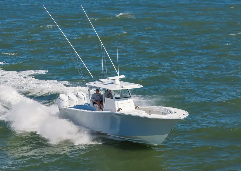 Slide: The Image of 37OnslowBay2025_047 - 5748245