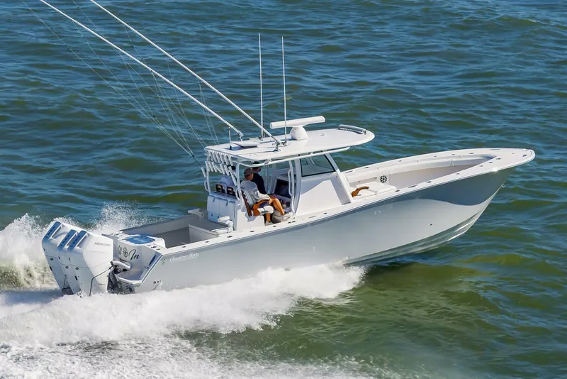 Slide: The Image of 37OnslowBay2025_006 - 5748204