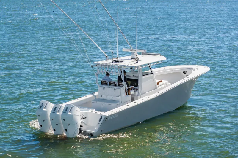 Slide: The Image of 37OnslowBay2025_009 - 5748207