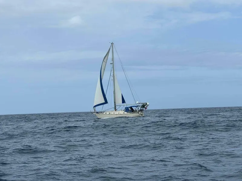 Slide: The Image of Island Packet 420 2001 - 5749492