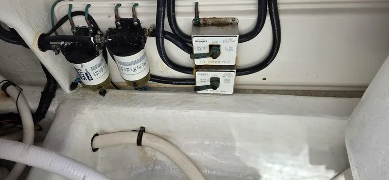 Slide: The Image of Invincible 35 2020 - 5752047