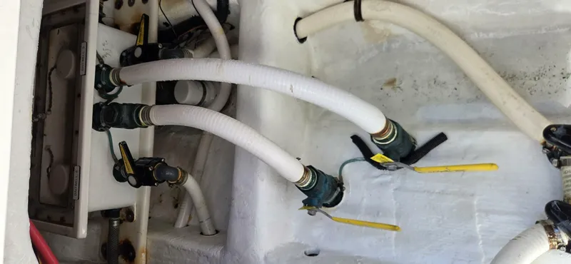 Slide: The Image of Invincible 35 2020 - 5752049