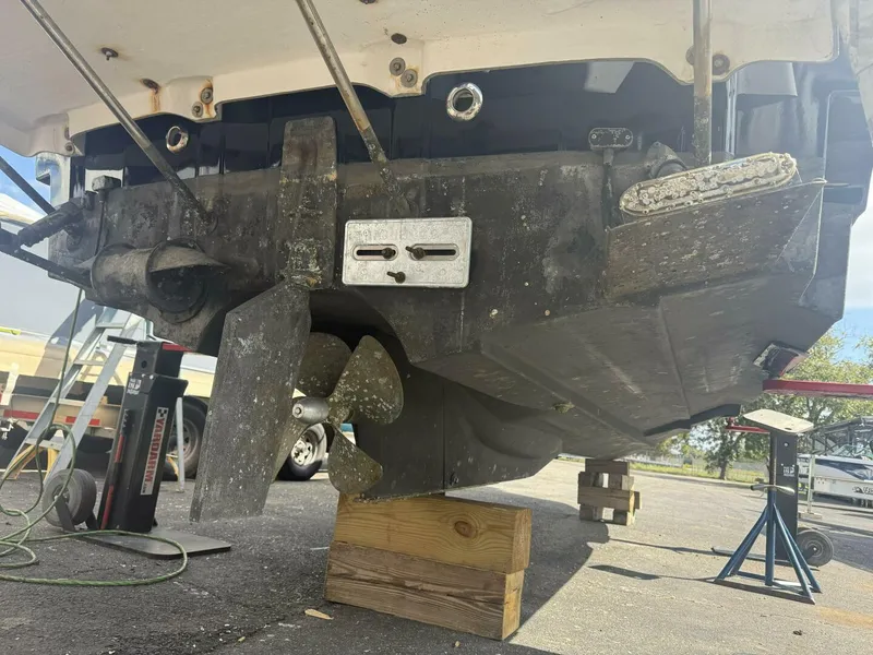 Slide: The Image of IMG_20251017_154434 (5) - 5753047