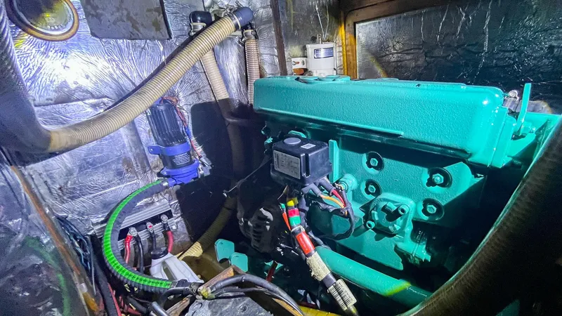 Slide: The Image of Oyster Lightwave 48 1991 - 5759830