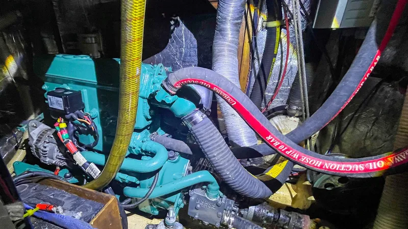 Slide: The Image of Oyster Lightwave 48 1991 - 5759840