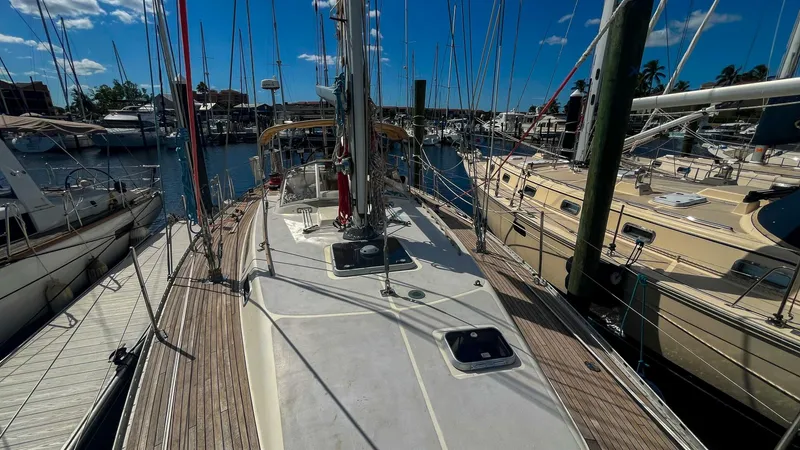 Slide: The Image of Oyster Lightwave 48 1991 - 5759861