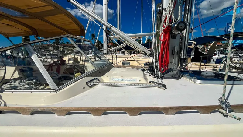 Slide: The Image of Oyster Lightwave 48 1991 - 5759871