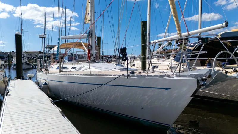 Slide: The Image of Oyster Lightwave 48 1991 - 5759900