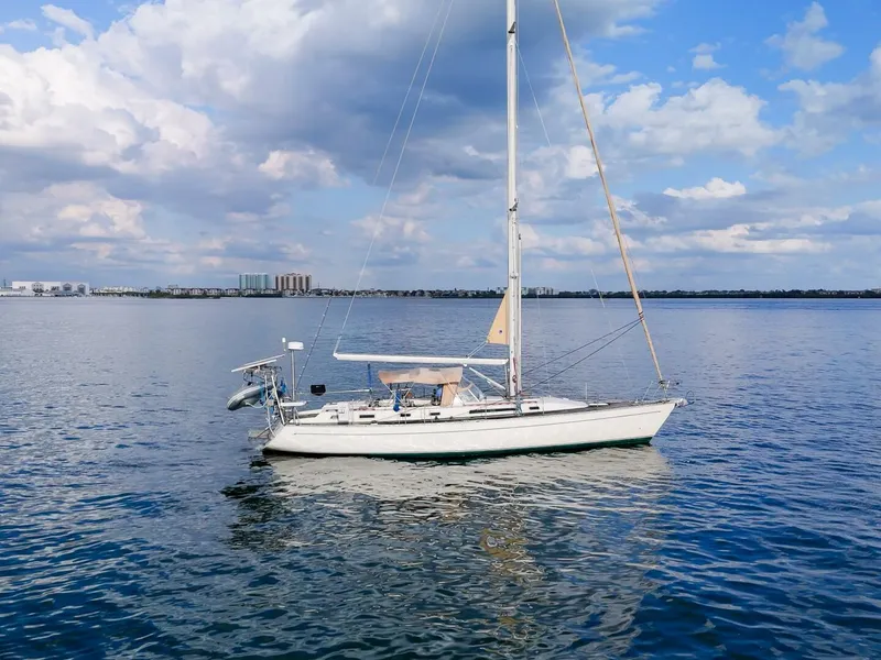 Slide: The Image of Oyster Lightwave 48 1991 - 5961415