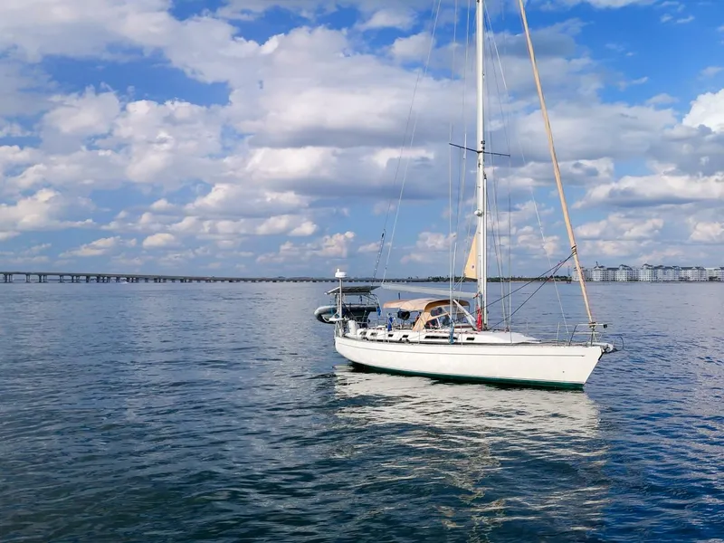 Slide: The Image of Oyster Lightwave 48 1991 - 5961414