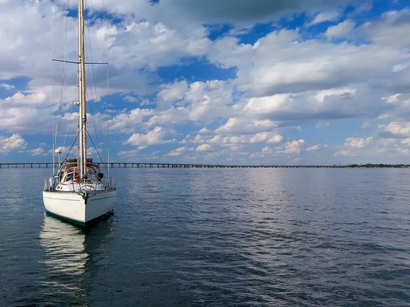 Slide: The Image of Oyster Lightwave 48 1991 - 5961413