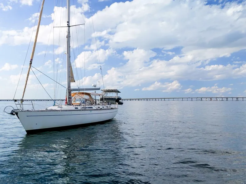 Slide: The Image of Oyster Lightwave 48 1991 - 5961411