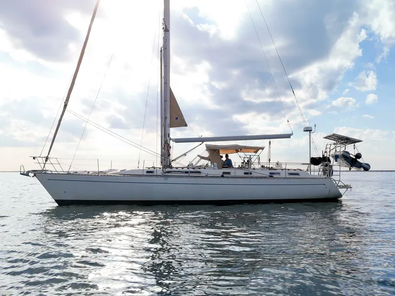 Slide: The Image of Oyster Lightwave 48 1991 - 5961409