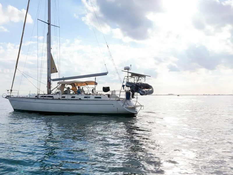 Slide: The Image of Oyster Lightwave 48 1991 - 5961408